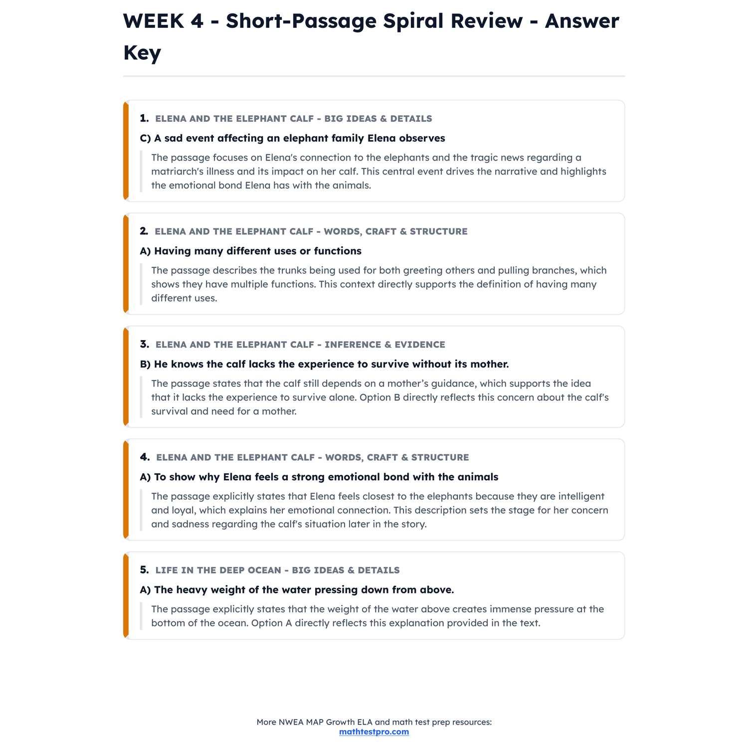 NWEA MAP Growth ELA Intensive Test Prep | 4th Grade | All 4 Levels (RIT 192-243) preview 4