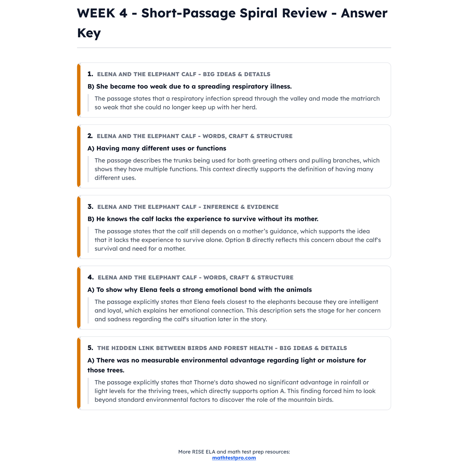 Utah RISE ELA Intensive Prep | 6th Grade | All 4 Levels (Scale Score 394-493+) preview 4