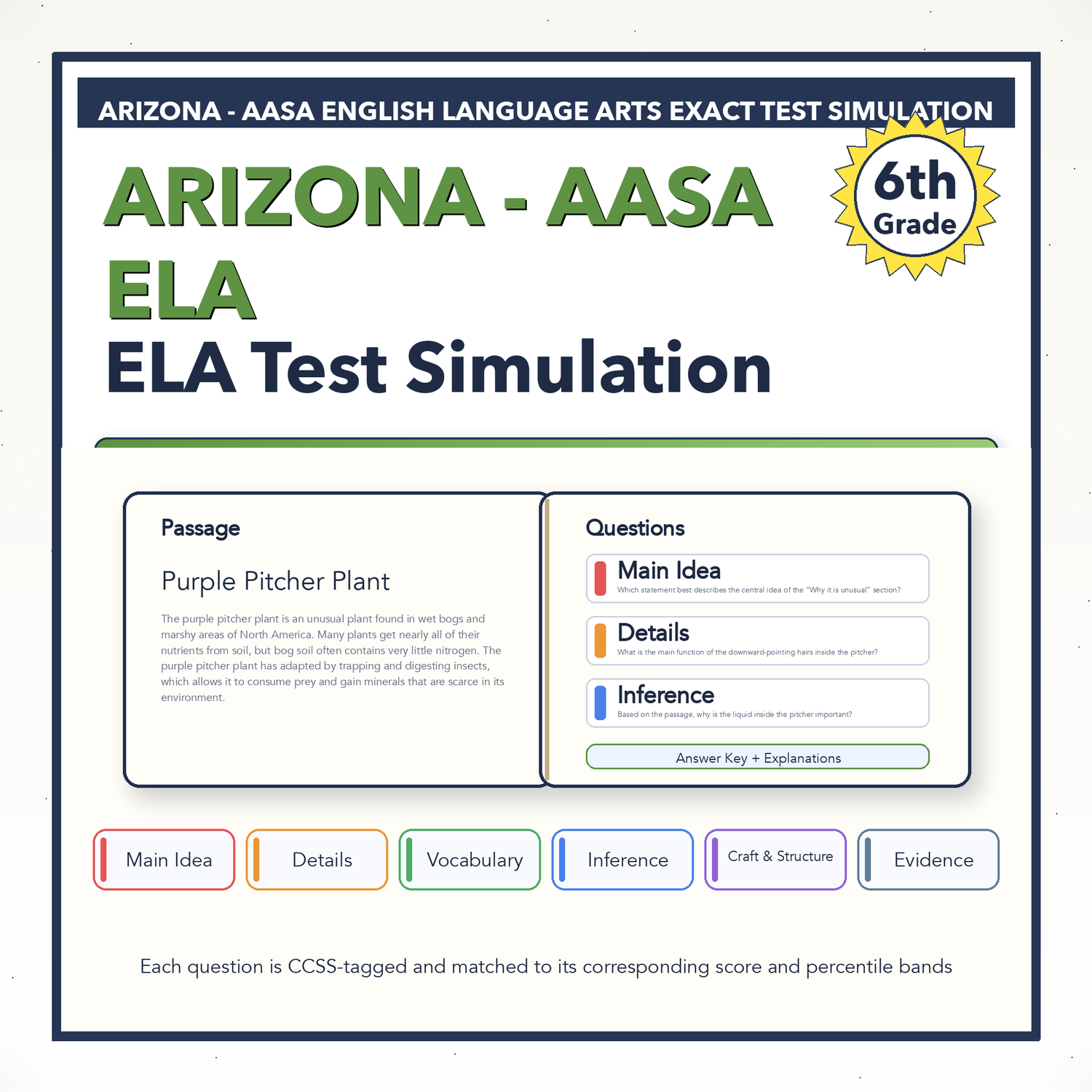 Arizona AASA ELA Test Simulation | 6th Grade | All 4 Levels (2431-2641)