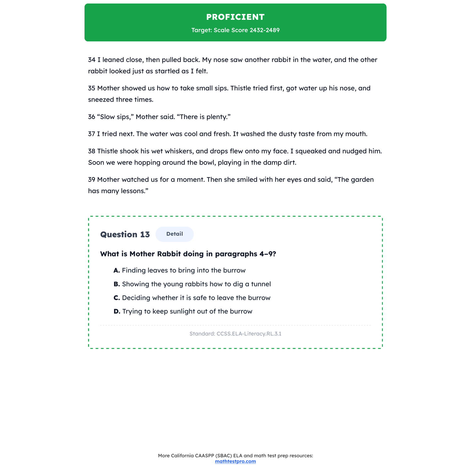 California CAASPP (SBAC) ELA Test Simulation | 3rd Grade | 2367-2490+ preview 3