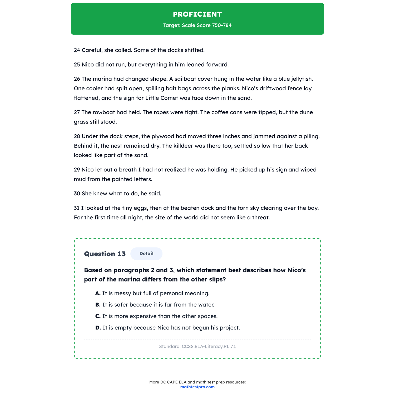 DC CAPE ELA Test Simulation | 7th Grade | All 4 Levels (Scale Score 650-850) preview 3