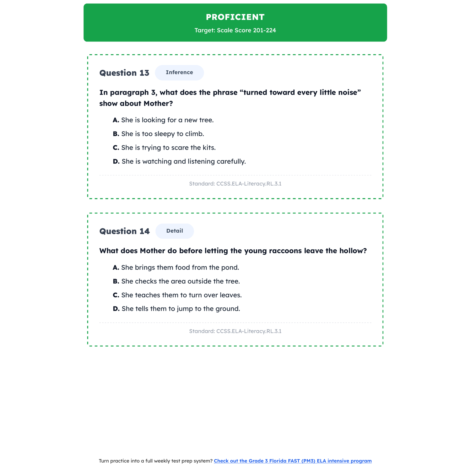 Florida FAST ELA Test Simulation | 3rd Grade | All 4 Levels (186-225+) preview 3