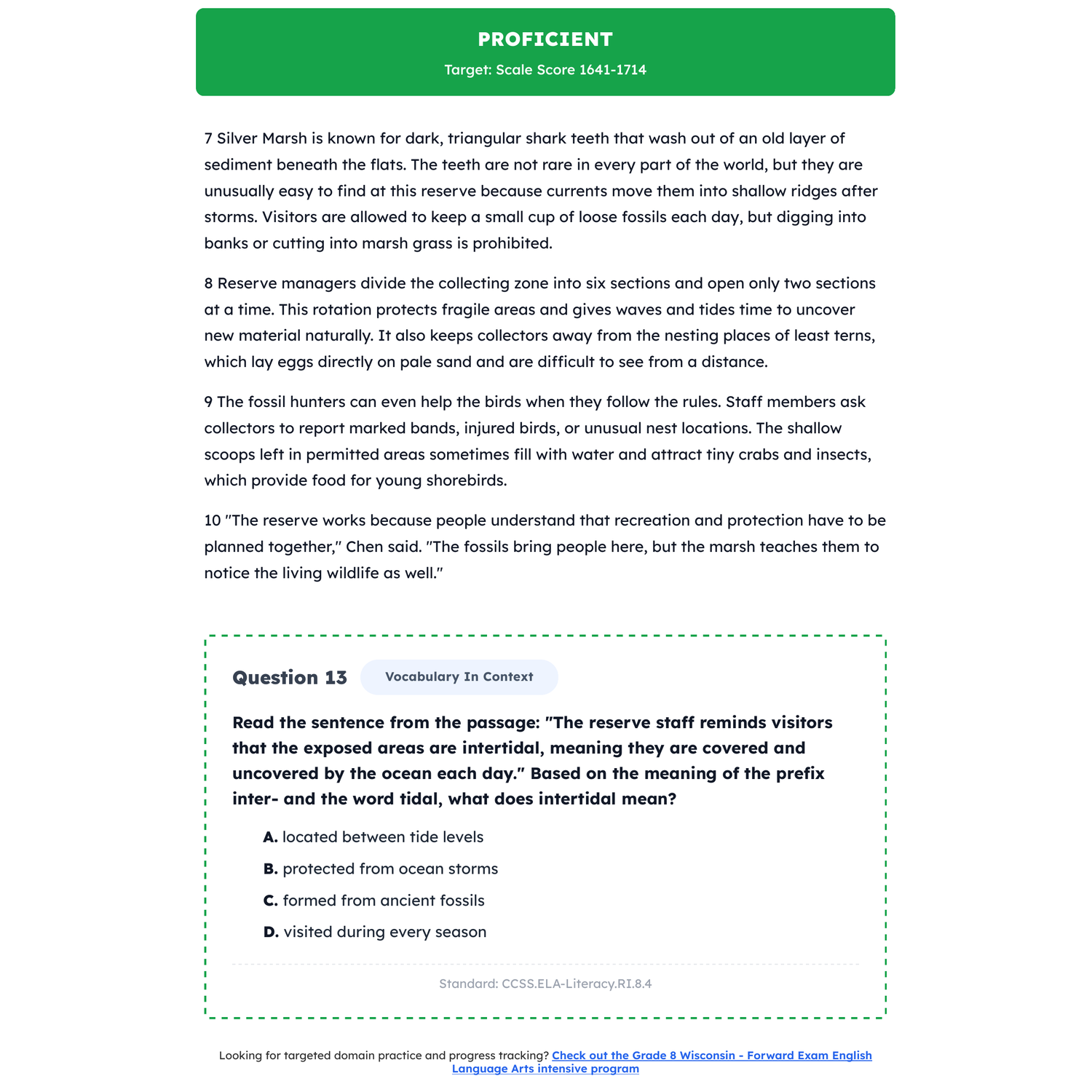 Wisconsin Forward Exam ELA Test Simulation | 8th Grade | Scale Score 1380-1990 preview 3
