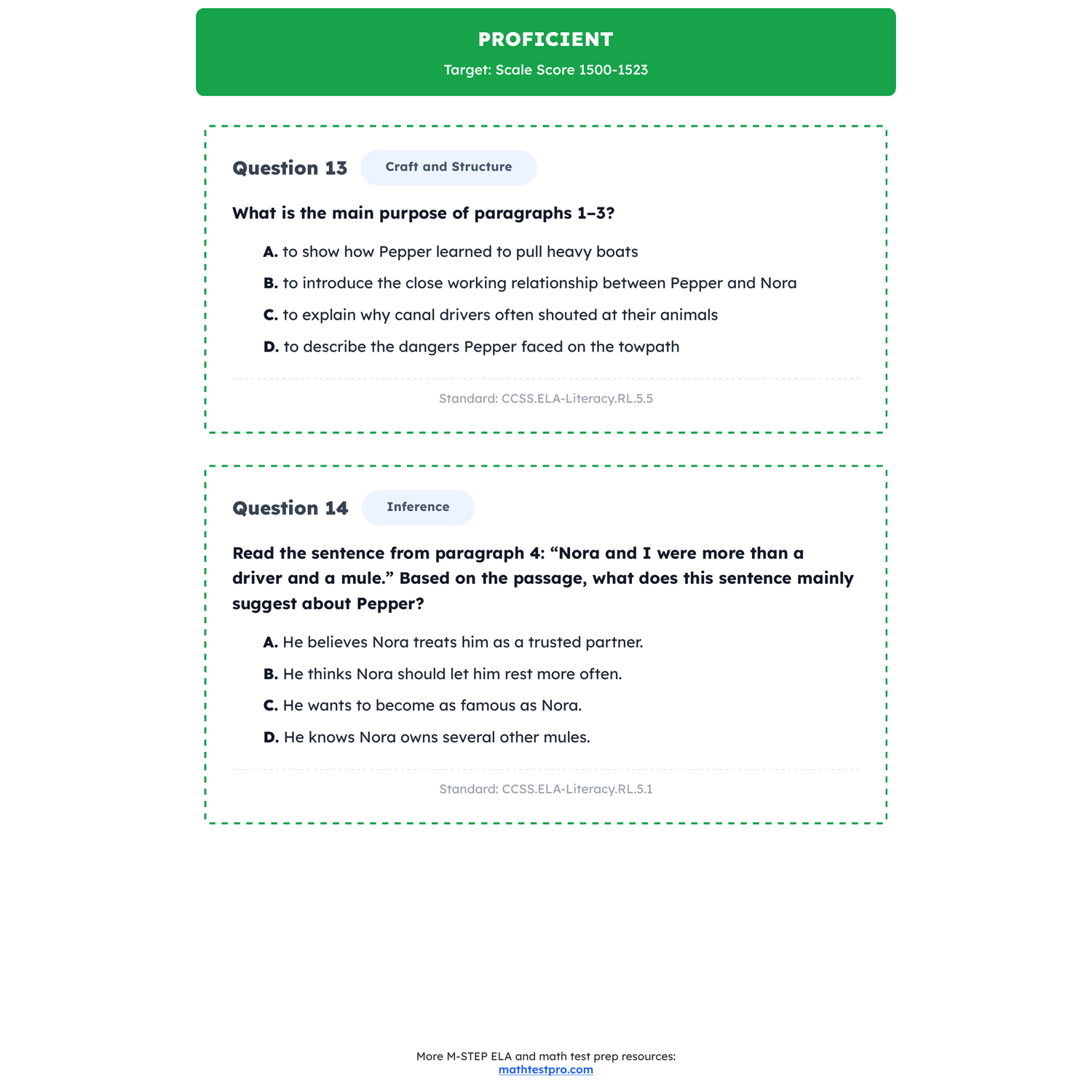 Michigan M-STEP ELA Test Simulation | 5th Grade | All 4 Levels (1409-1560) preview 3