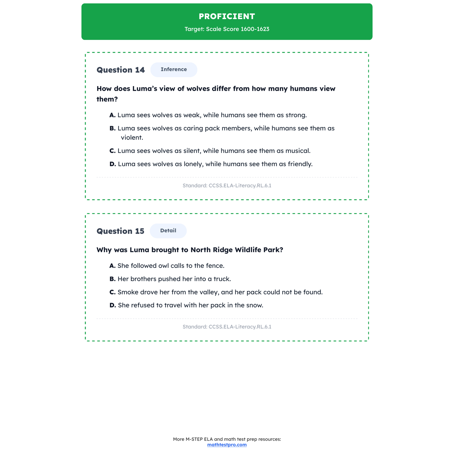 Michigan M-STEP ELA Test Simulation | 6th Grade | All 4 Levels (1508-1655) preview 3
