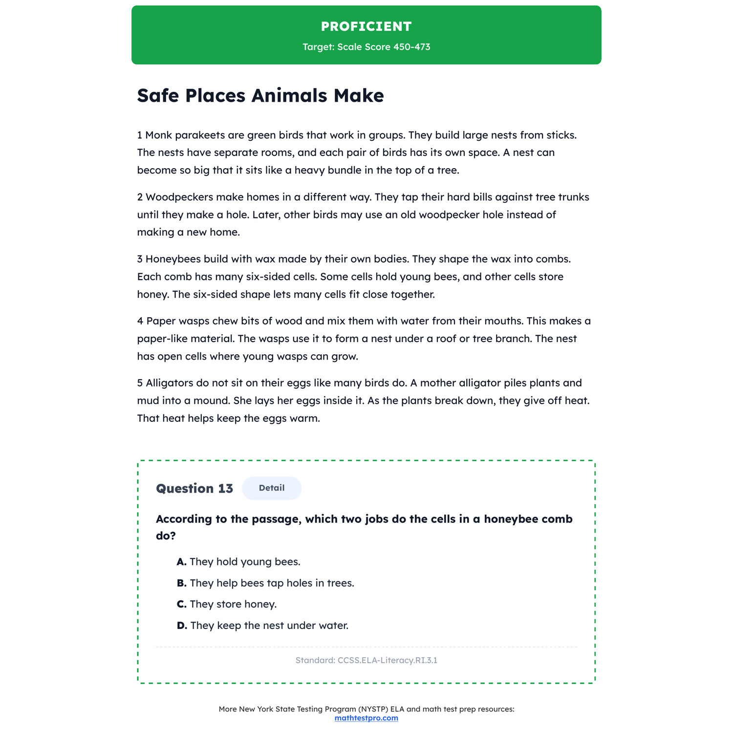New York NYSTP ELA Test Simulation | 3rd Grade | All 4 Levels (383-494) preview 3