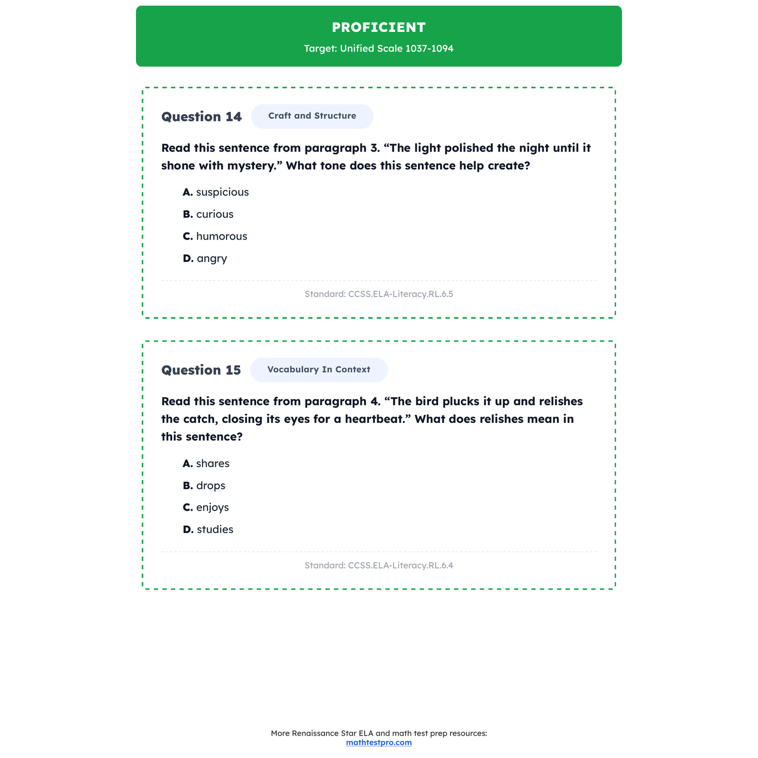Renaissance Star ELA Test Simulation | 6th Grade | All 4 Levels (1006-1095+) preview 3