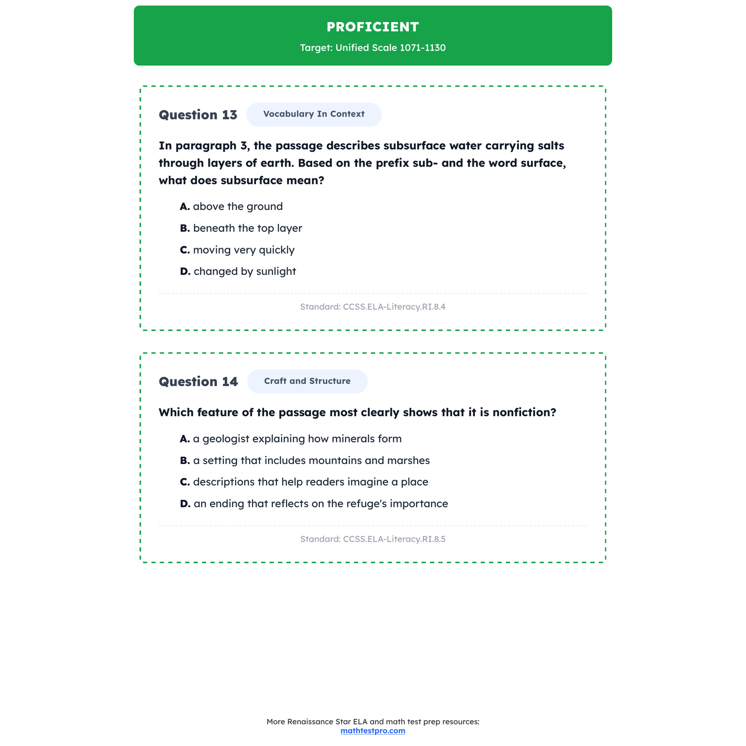 Renaissance Star ELA Test Simulation | 8th Grade | All 4 Levels (1039-1131+) preview 3